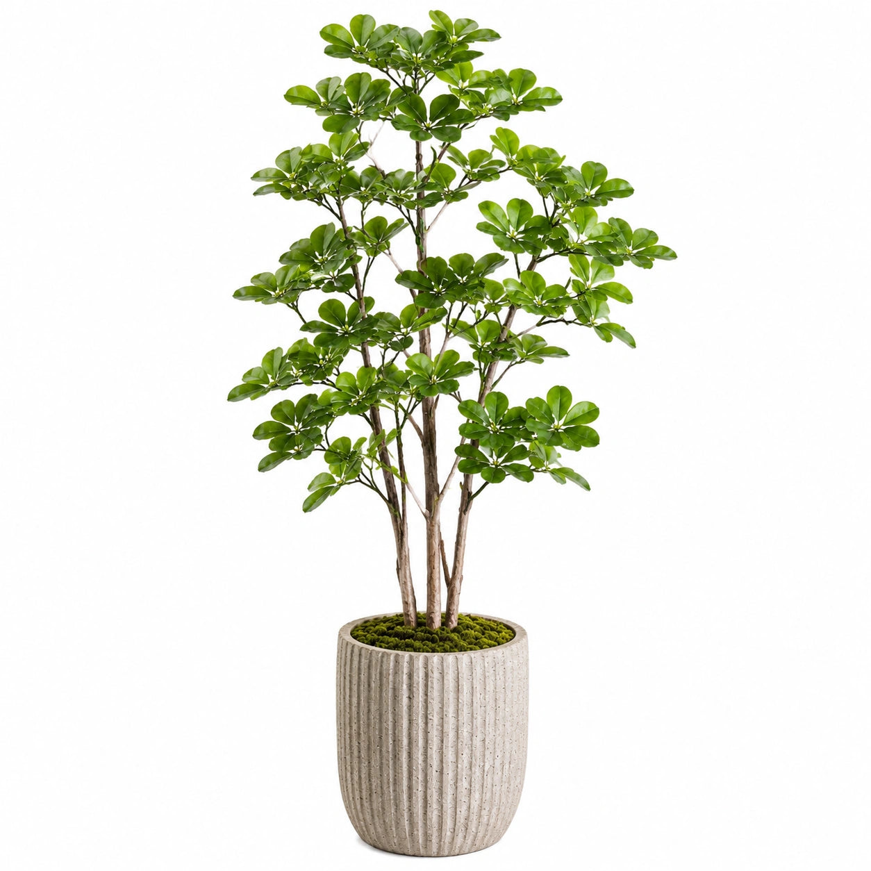 Plante artificielle 180 cm feuillage vert en plastique pour intérieur - arbre décoratif en pot