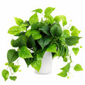 Plante verte artificielle 50 cm en plastique vert avec pot blanc décoratif retombant